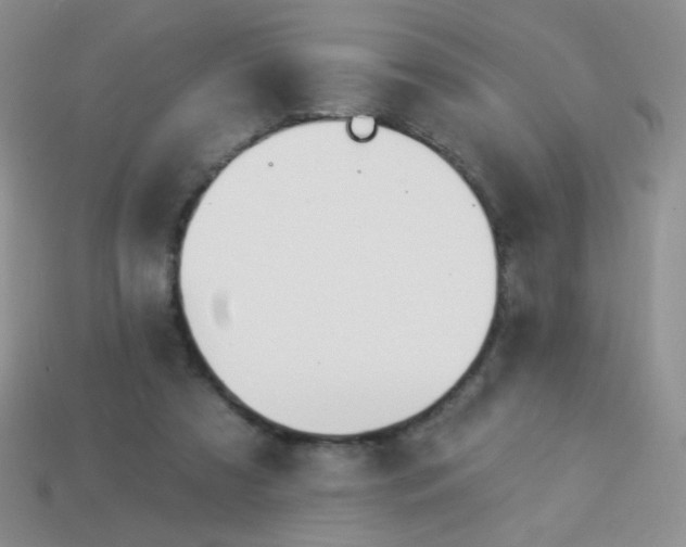 X0000113960305200910091634