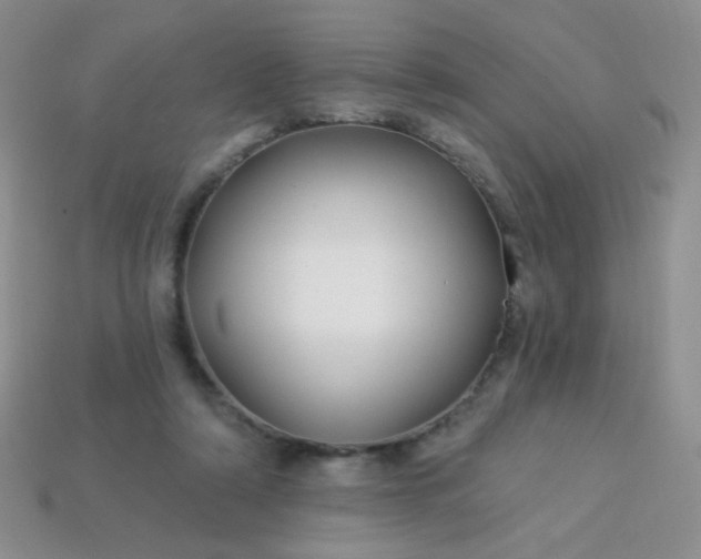 X0000113960306200910091634