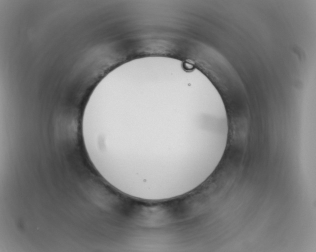 X0000113960309200910091634