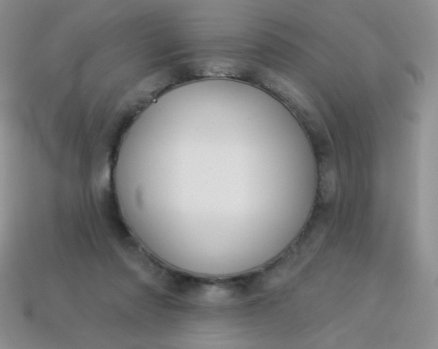 X0000113960310200910091634