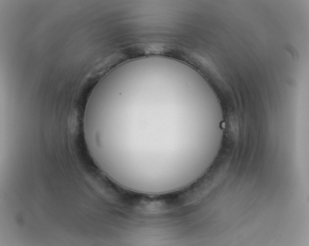 X0000113960311200910091634