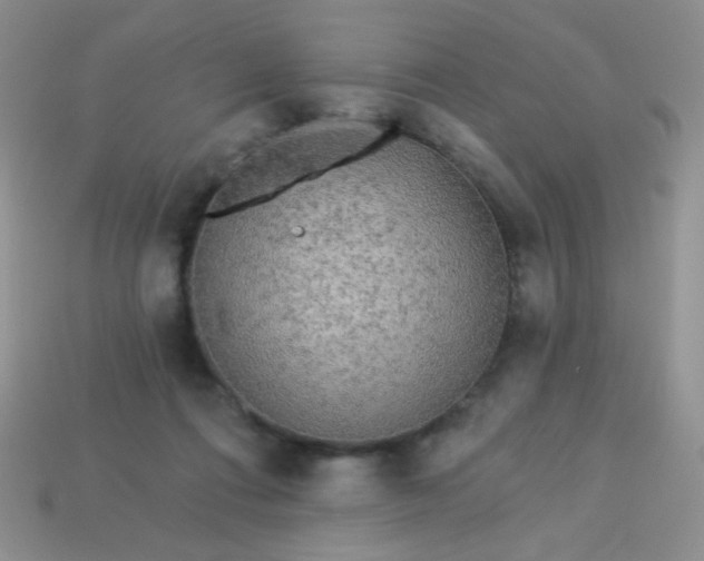 X0000113960312200910091634