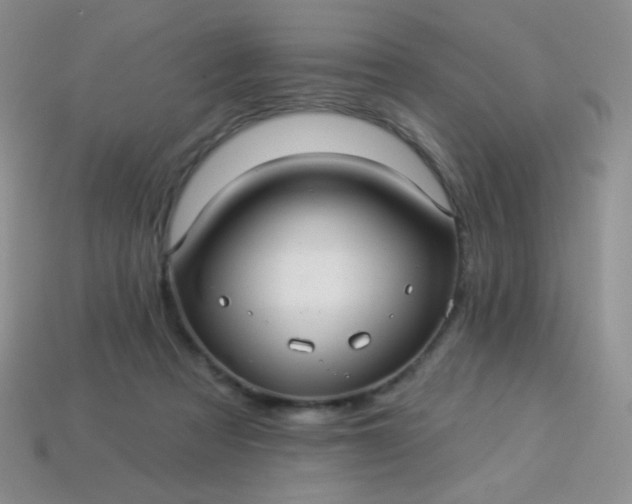 X0000113960313200910091634