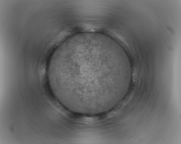 X0000113960314200910091634