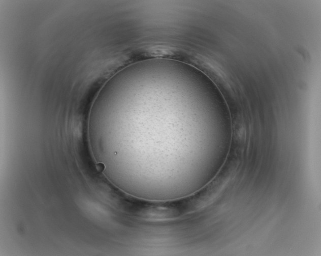 X0000113960315200910091634