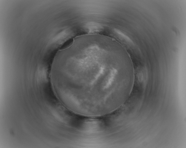 X0000113960316200910091634