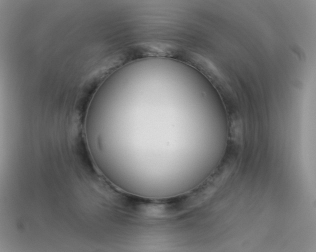 X0000113960318200910091634