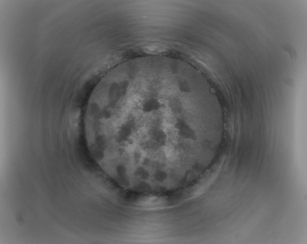 X0000113960319200910091634