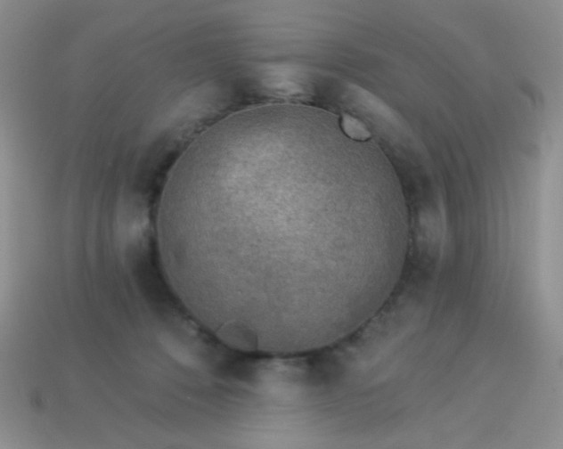 X0000113960320200910091634