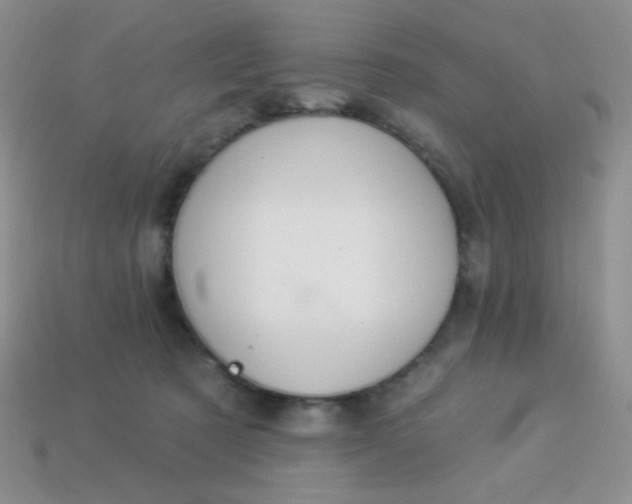 X0000113960321200910091634