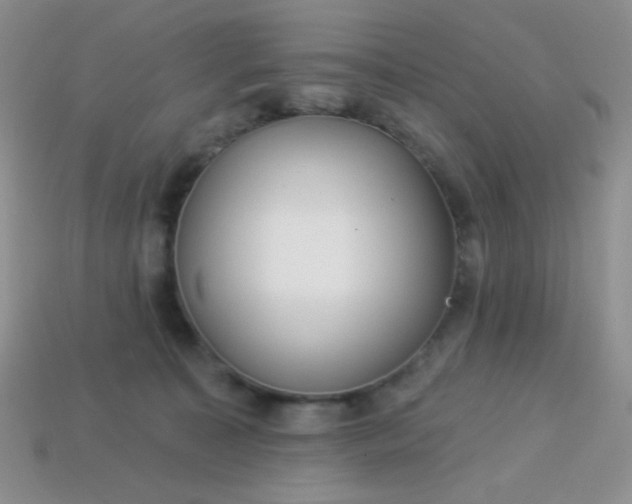 X0000113960323200910091634