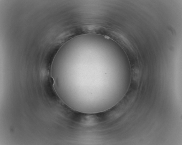 X0000113960324200910091634