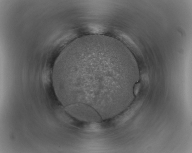 X0000113960325200910091634