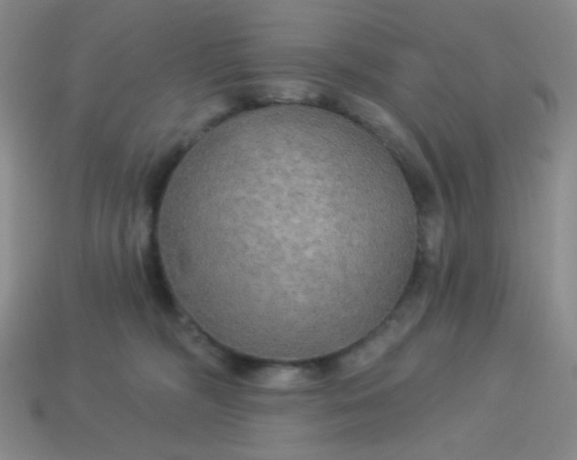 X0000113960326200910091634