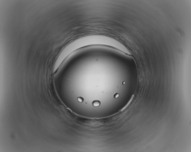 X0000113960327200910091634