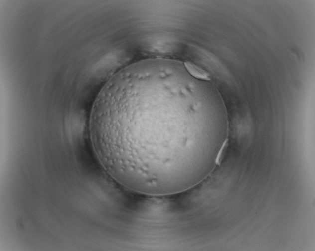 X0000113960328200910091634