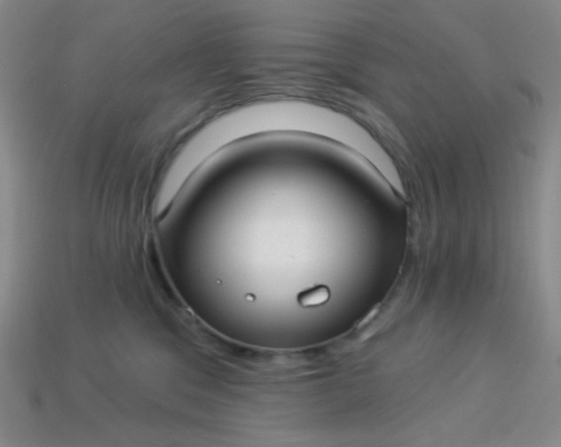 X0000113960329200910091634