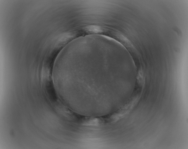 X0000113960330200910091634