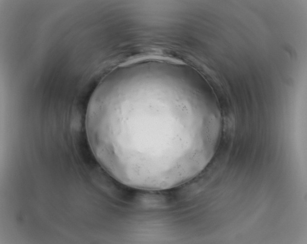 X0000113960331200910091634