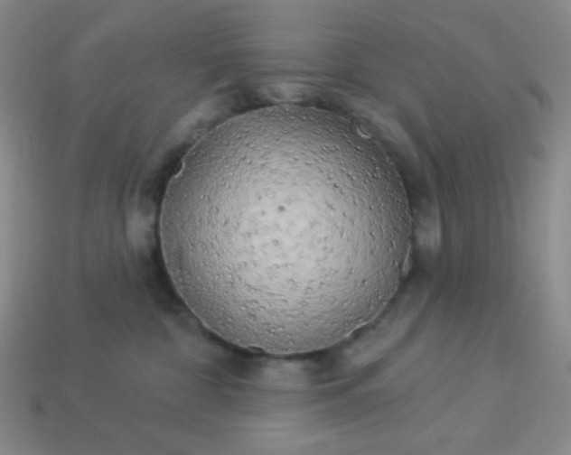 X0000113960332200910091634