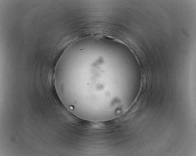 X0000113960333200910091634