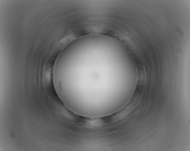 X0000113960334200910091634