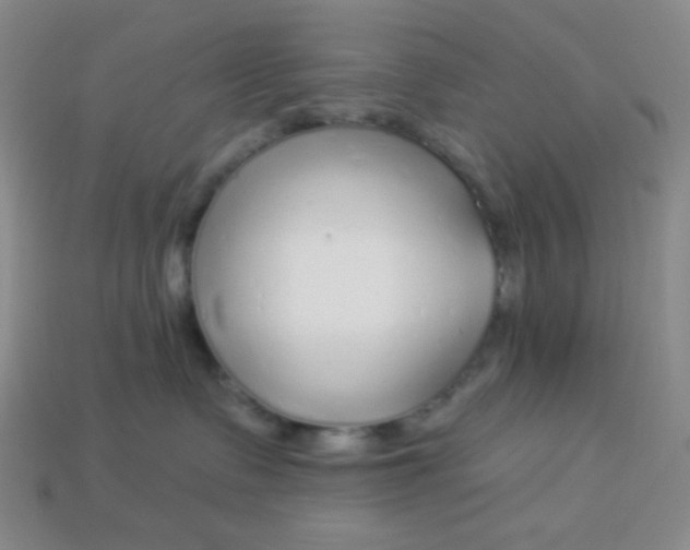 X0000113960335200910091634