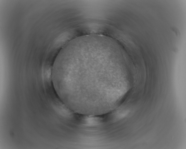 X0000113960336200910091634