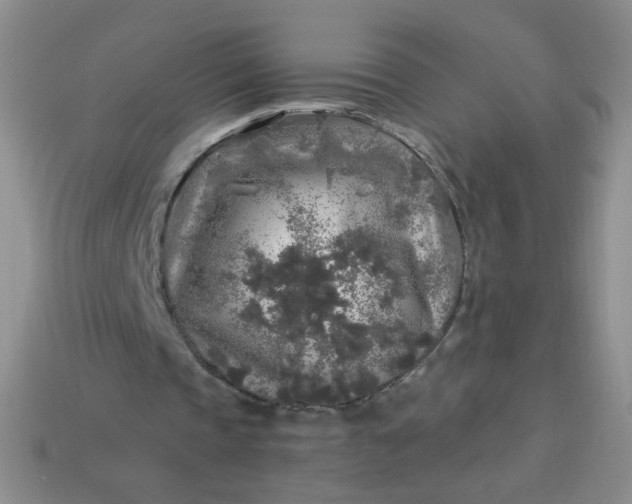 X0000113960337200910091633