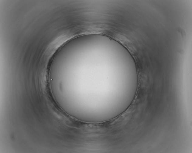 X0000113960338200910091633