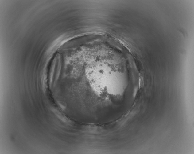 X0000113960339200910091633