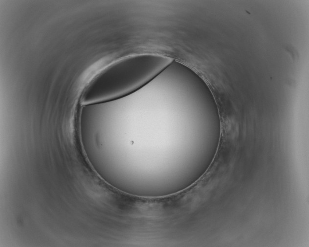 X0000113960340200910091633