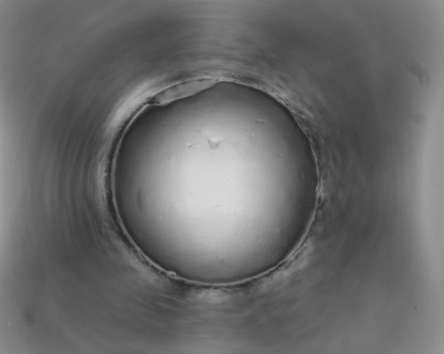 X0000113960341200910091633