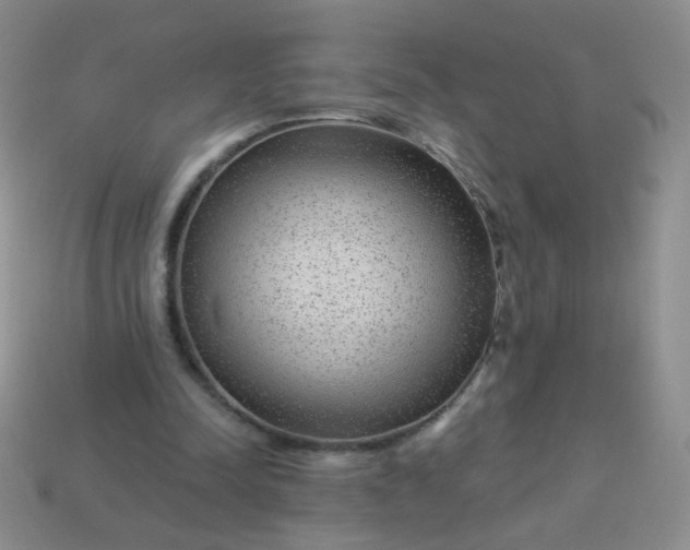 X0000113960342200910091634