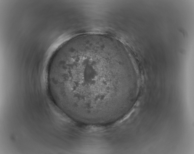 X0000113960343200910091634