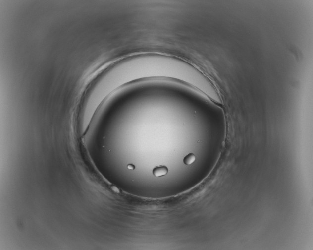 X0000113960344200910091634