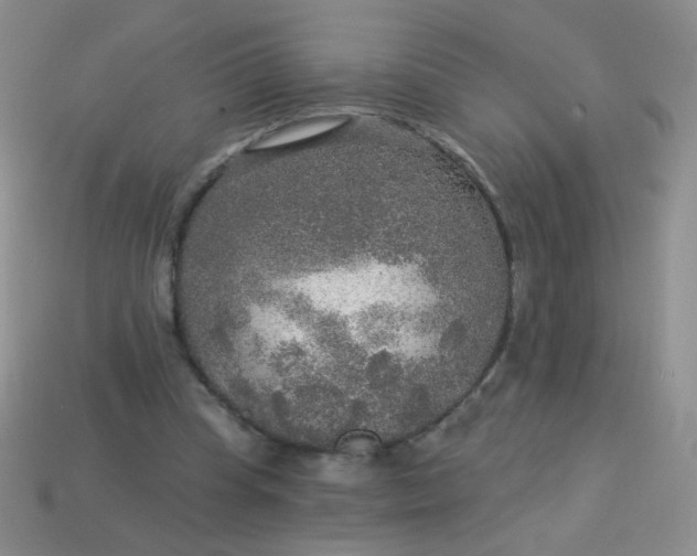 X0000113960345200910091634