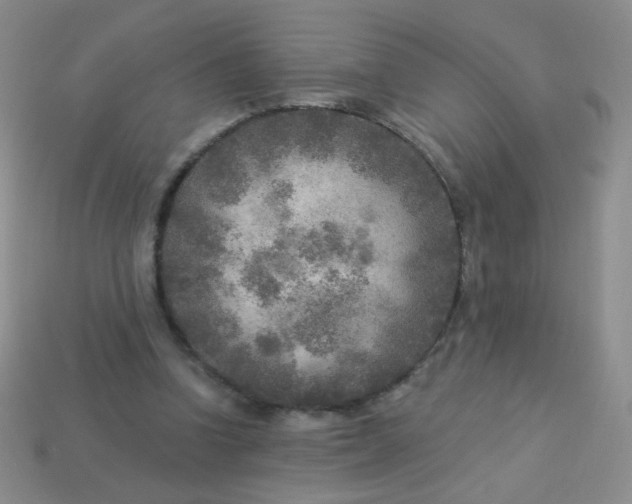 X0000113960346200910091634