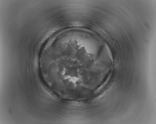 X0000113960347200910091634