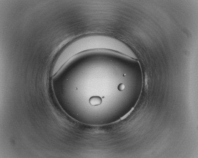 X0000113960348200910091634