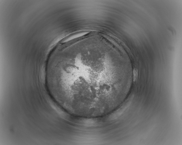 X0000113960349200910091634