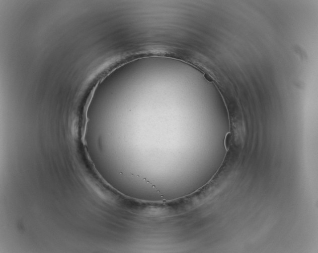 X0000113960350200910091634