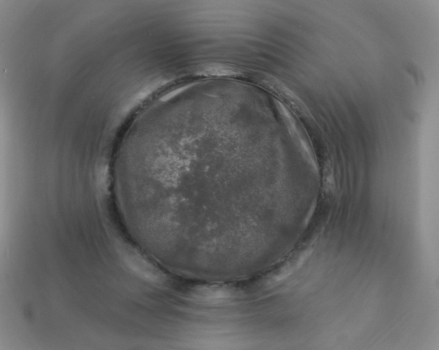 X0000113960351200910091634