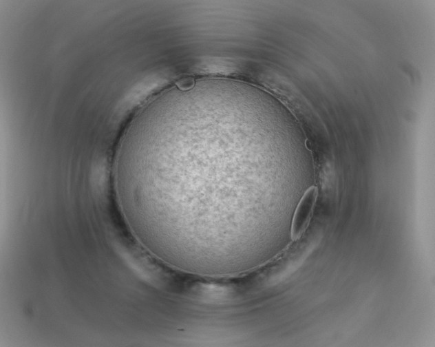 X0000113960352200910091634