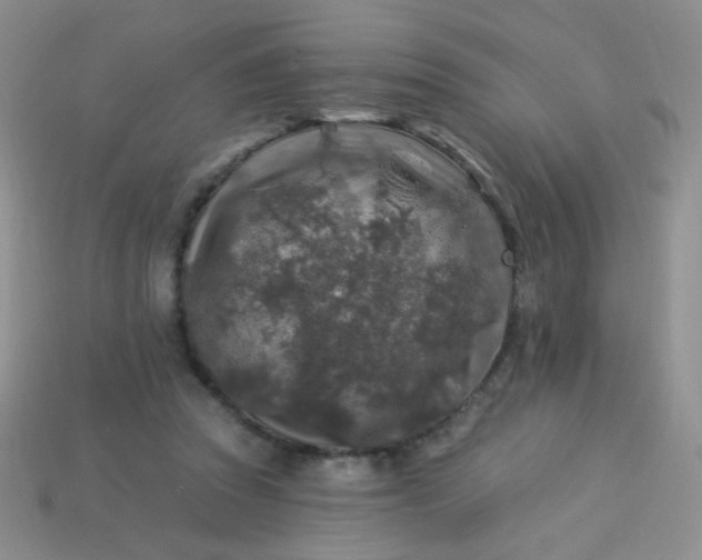 X0000113960353200910091634