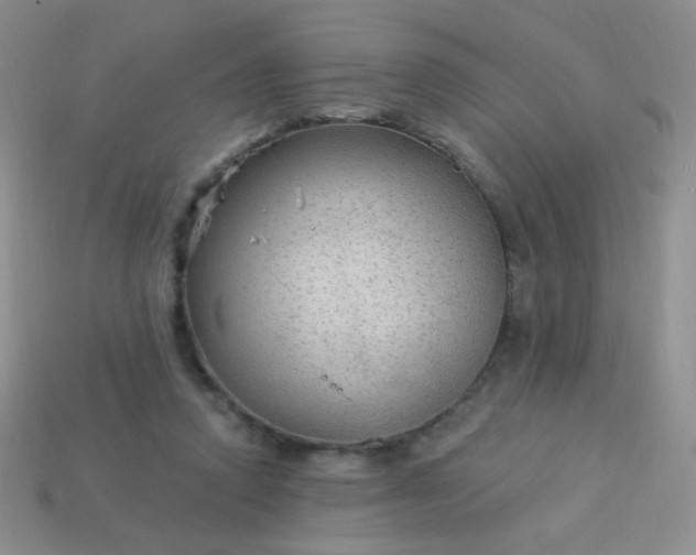 X0000113960354200910091634