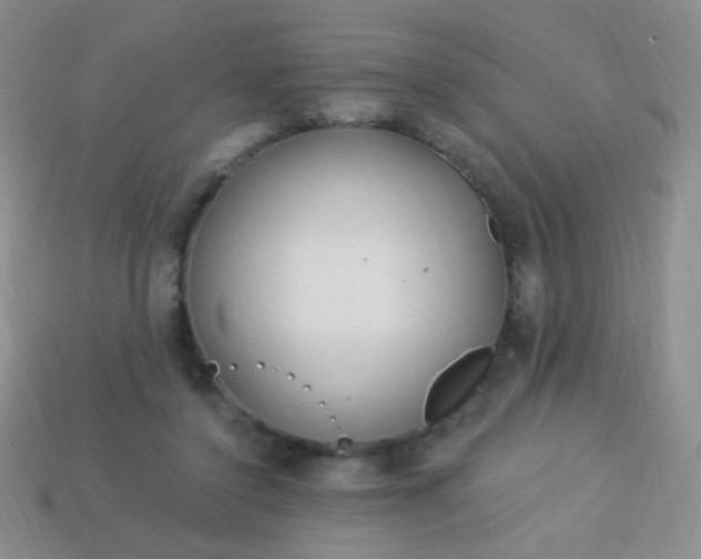 X0000113960356200910091634