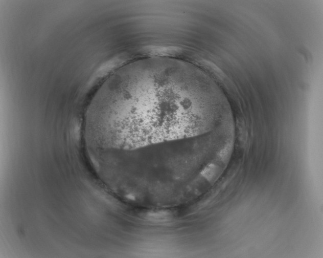 X0000113960357200910091634