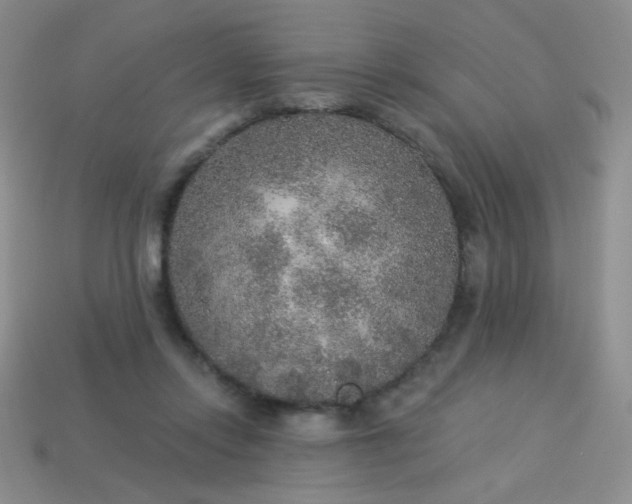 X0000113960358200910091634