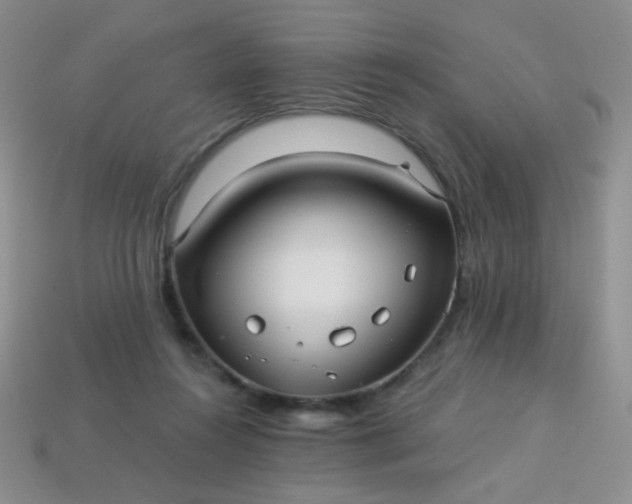 X0000113960360200910091634